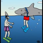 170721-shark-prank