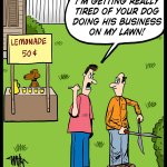 180107-Dog-Lawn-Business
