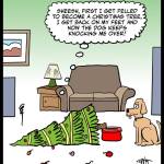 Felled-Christmas-Tree