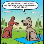 Doggy Treat Yoga