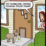 Doggie Door Dash