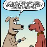 Doggy-Fitness-Stats