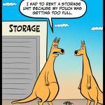 Overfilled-Pouch-Storage