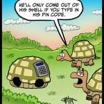 Turtle-PIN-Code