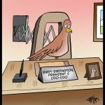 Coo-Coo-President