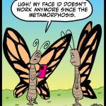 Butterfly-Face-ID