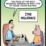 DK-Wolf-Insurance