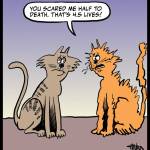 250606-Scared-Half-Lives