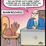 Cat-Hire-Perks