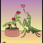 Mantis-Loves-Xmas-Cactus