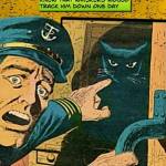 Whiskers-134