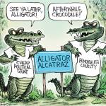071525LaterAlligatorR