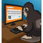 big-monkey-hr-color-103-copy