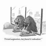 porcupine-cartoon-Twitter