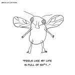 Life of Fly