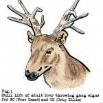 gang-deer-color