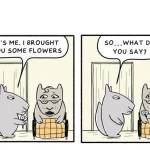 Flowers for Mom
