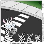 zebra-crosswalk-COLOUR-500