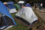 Poll: What to do about ‘Occupy’ campers?