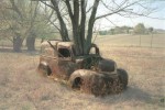 Seen & Heard on the Web: Old Car Merges With Tree