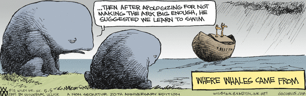 Non Sequitur