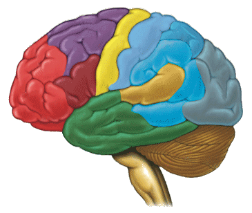 google to use brain storage