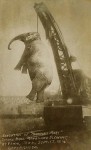 The Day They Hanged An Elephant
