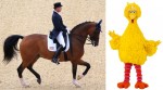 Romney, the Artful Dodger, Takes on Big Bird and the World