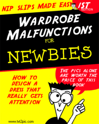 Wardrobe malfunctions, nip slip book