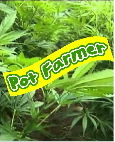 pot farmers How Reality TV Has Done a 360