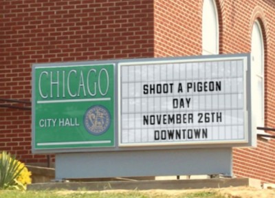 Shoot a pigeon, feed a family