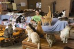 Valentine’s Day: Recently Divorced Woman Happy with Cats