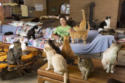 Valentine's Day: Recently Divorced Woman Happy with Cats