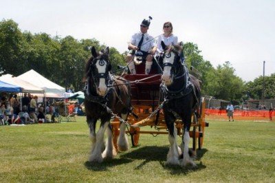 Sacramento Valley Scottish Games and Festival