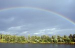 The Rainbow Comes Out as Heterosexual