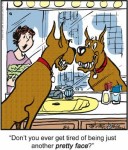 Marmaduke, Everyone’s Favorite Hound