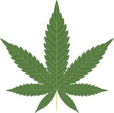 Seattle, pot, marijuana