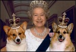 Nancy Fenwick, ‘Keeper of the Queen Corgis,’ Pens Explosive New Tell-All Book