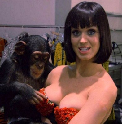 Katy Perry with monkey