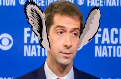 Tom Cotton Jackass