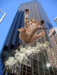 Trump Rises in Polls after Throwing Kitten Off 58th Floor of Trump Tower