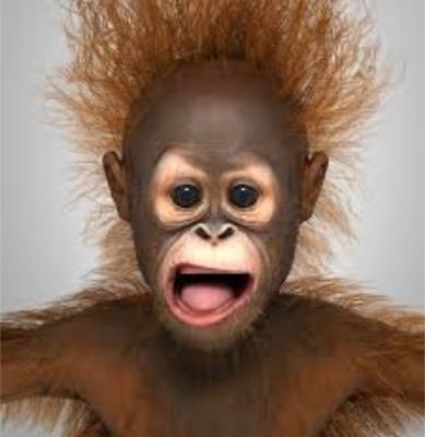 Donald Trump as a baby Orangutan