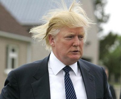 donald trump hair