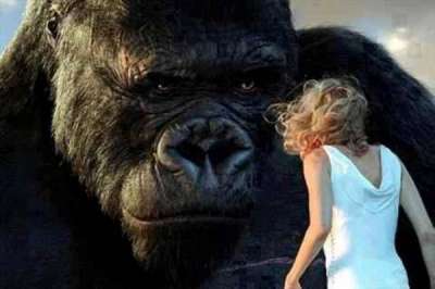 King Kong, politically correct