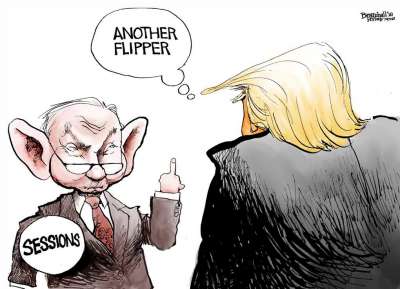 Flipper, News in Cartoons