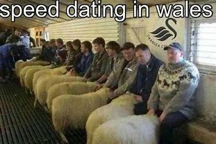 Speed Dating