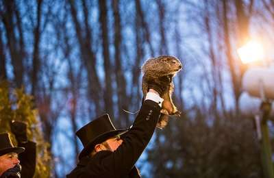 Groundhog Day Punxsutawney Phil