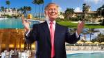 Top 10 Reasons Why I, Yujing Zhang, Came to Mar-a-Lago Without a Bathing Suit