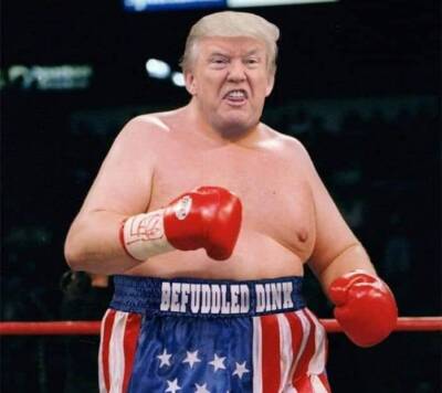 Sexiest Man Alive Trump boxer