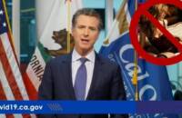 Pandemic Forces California Governor to Ban Group Sex